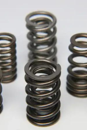 Viral Ferrea 1.600in to 1.650in Dia 1.065/1.625 OD 0.77/1.175 ID Dual w/Damper Valve Spring - Set of 16