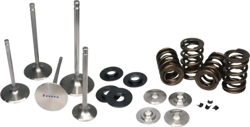 Buy Today Ferrea 2015 Ford Ecoboost 2.3L Single Spring Kit