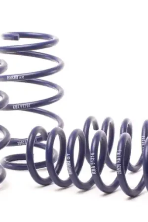 H&R 11-17 BMW X3 F25 Sport Spring — PMD Premier Motoring Development Time-Limited