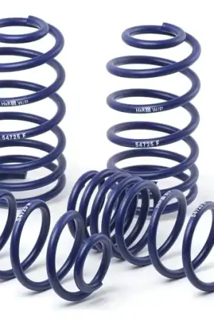 Special Offer H&R 09-16 Lincoln MKS (2WD) V6 Sport Spring — PMD Premier Motoring Development