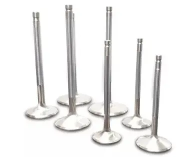 Ferrea Chevrolet Big Block 2.3 Head 11/32 Stem Dia Competition Hollow Stem Intake Valve - Set of 8 - F2058P Save Now