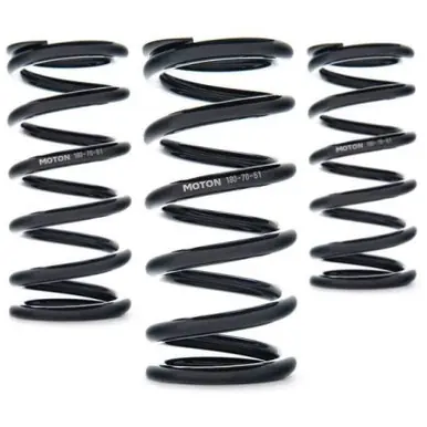 Popular AST Linear Race Springs - 140mm Length x 380 N/mm Rate x 61mm ID - Set of 2 - AST-140-380-61